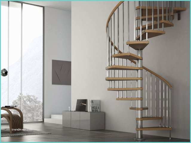 Escalier 3 Marches Interieur 60 Idées D Escalier Colimaçon Pour L Intérieur Et Pour L