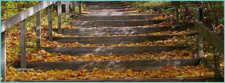 Escalier Dans Un Talus Faire Un Escalier De Jardin En Rondins De Bois