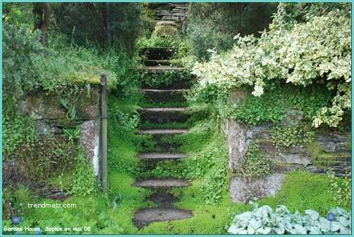 Escalier Dans Un Talus Le Jardin C Est tout Des Escaliers