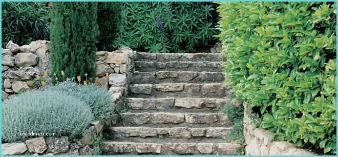 Escalier Dans Un Talus Quels Escaliers Pour Le Jardin