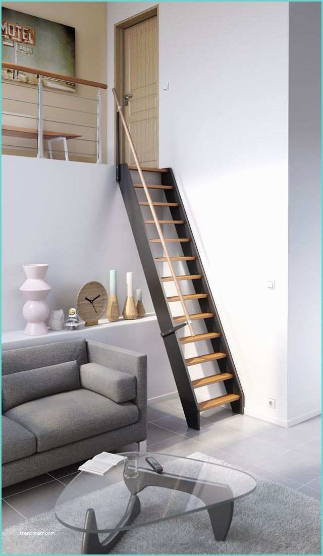 Escalier Droit Lapeyre solution Gain De Place Escaliers échelles De Meunier
