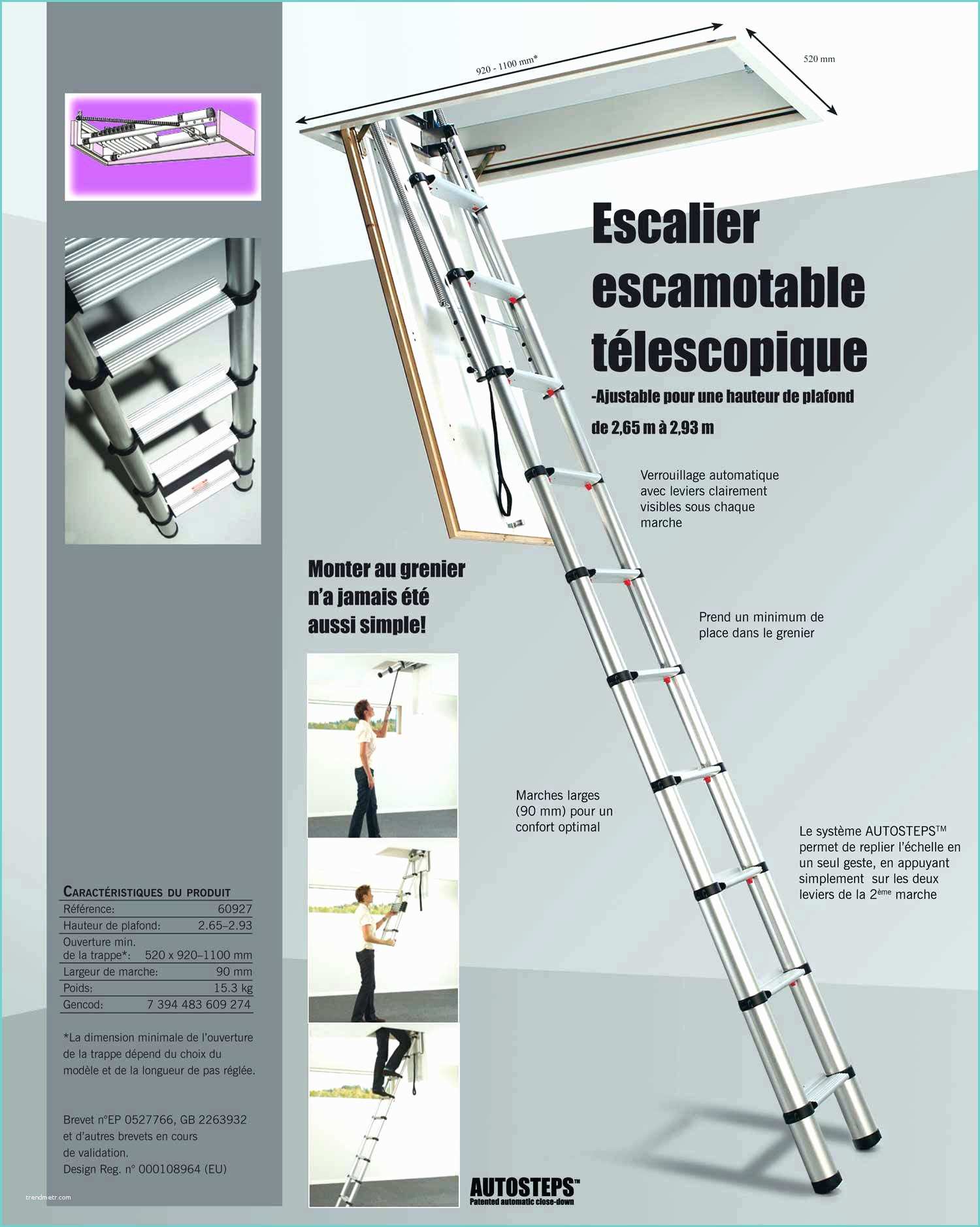 Escalier Escamotable Brico Dpot Echelle De Grenier Brico Depot