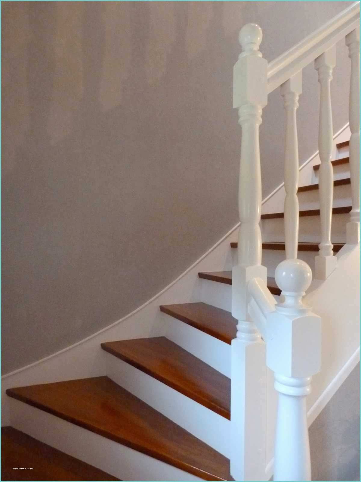 Escalier Repeint En Blanc Escalier Peint En Gris Et Blanc Avec Escalier Repeint En