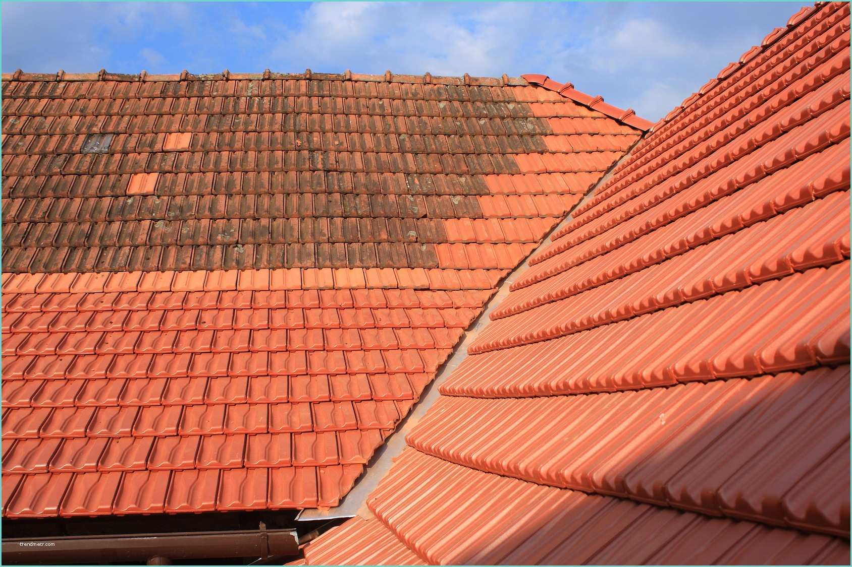 Fabriquer Anti Mousse toiture Supprimer Les Mousses Algues Lichens Sur Vos toitures Murs
