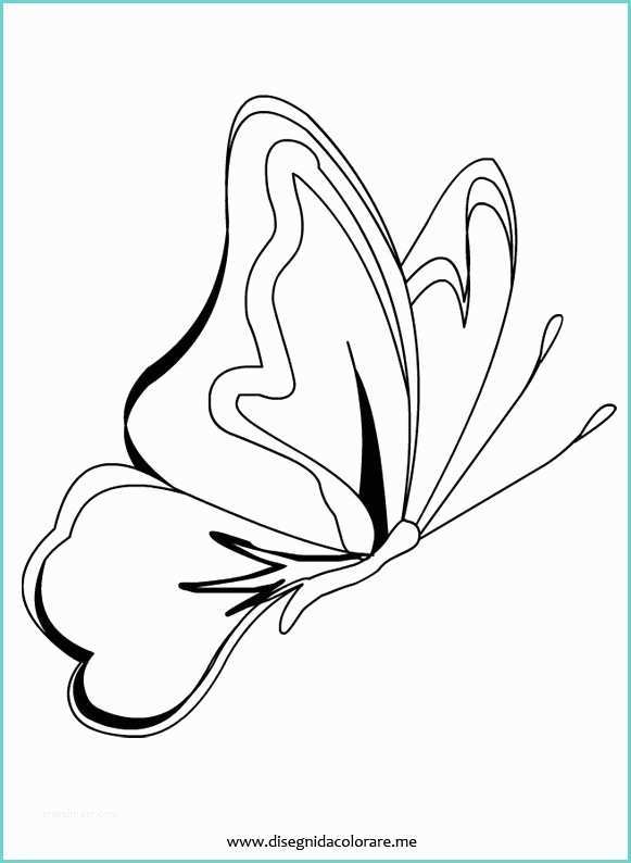 Farfalle E Fiori Da Colorare Disegni Farfalle Stilizzate Imagui