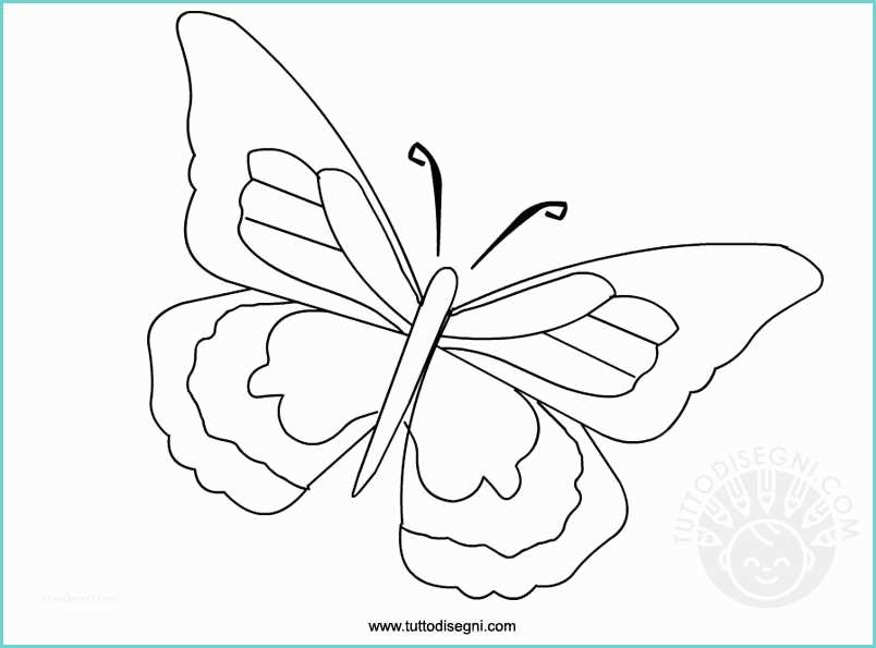 Farfalle E Fiori Da Colorare Farfalla Disegno Da Colorare Tuttodisegni