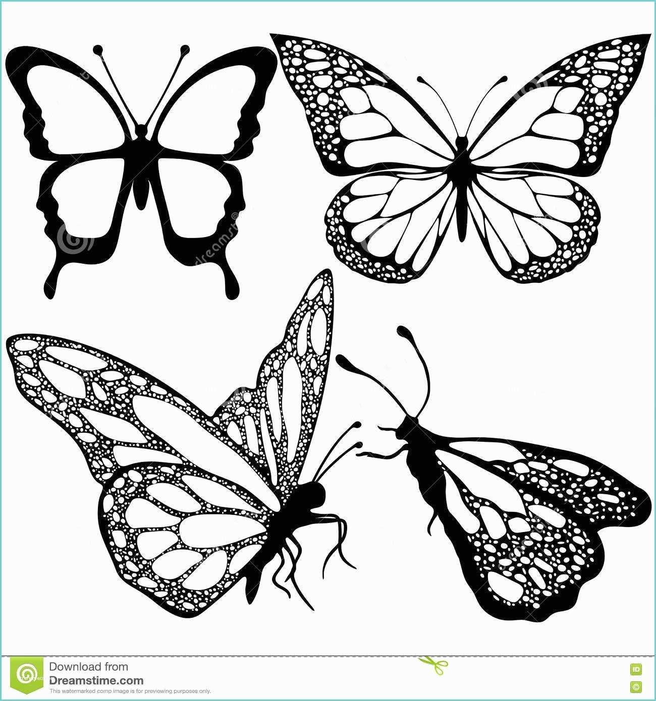 Farfalle E Fiori Da Colorare Le Farfalle Hanno Messo Monocromio Libro Da Colorare
