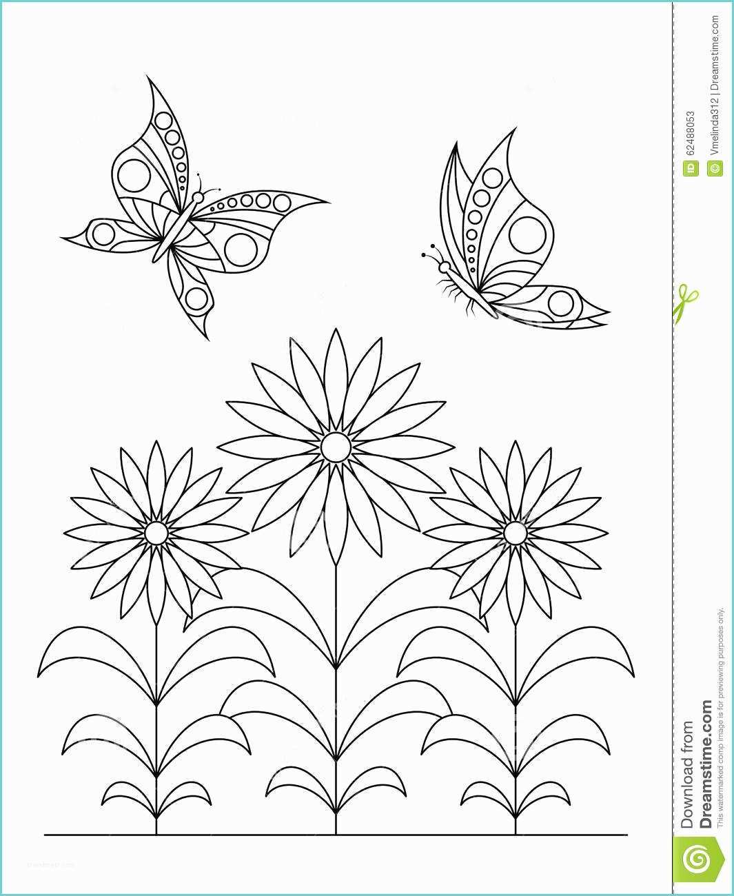 Farfalle E Fiori Da Colorare Libro Da Colorare Fiori E Farfalle Illustrazione