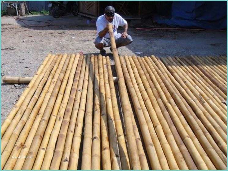 Filtri Per Le Canne Canne Di Bambu Piante Da Giardino Canne Di Bambu
