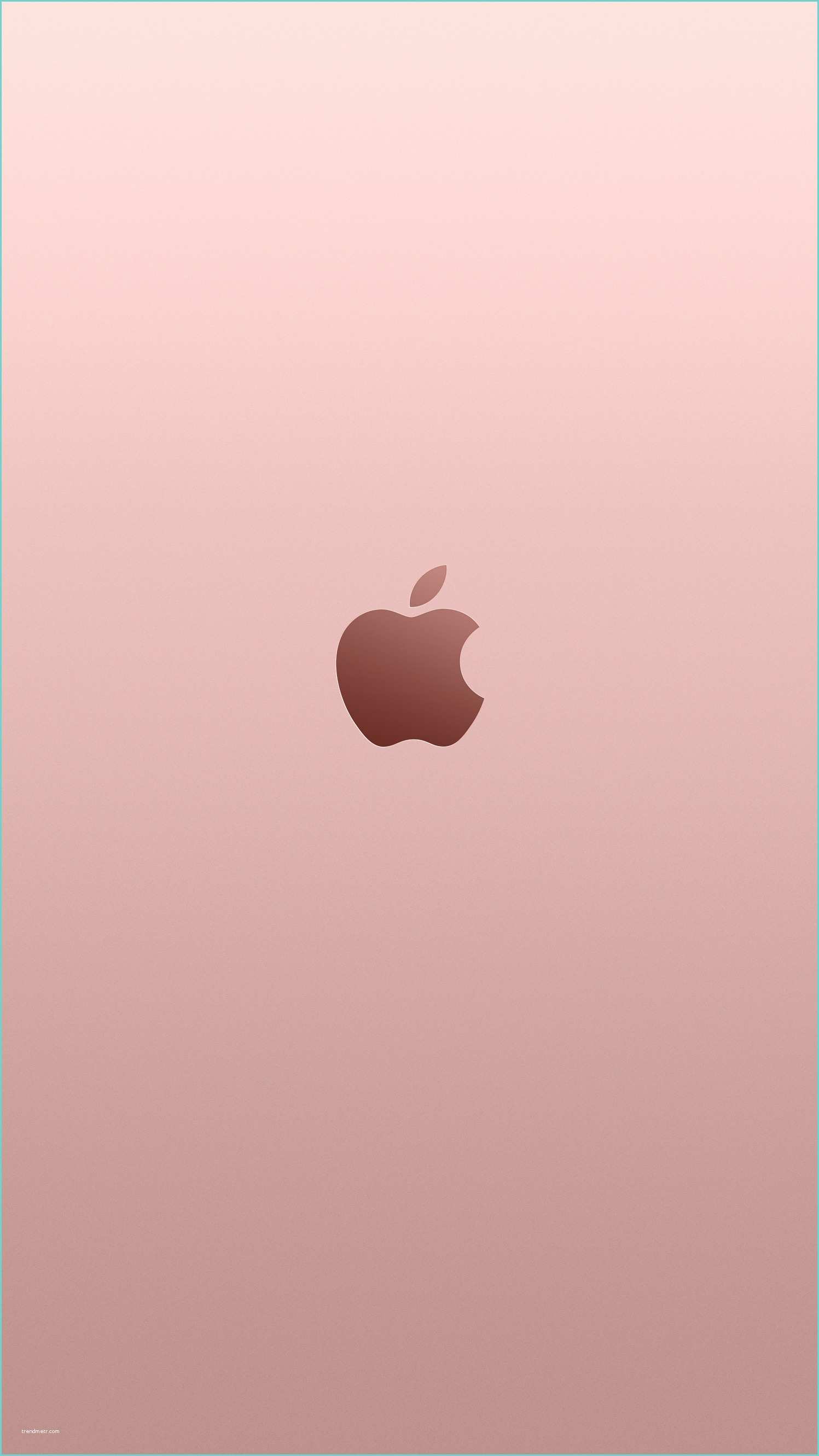 Fond Ecran Rose Carpet Fonds D écran iPhone Ipad Mac Avec Logo Apple En Gris