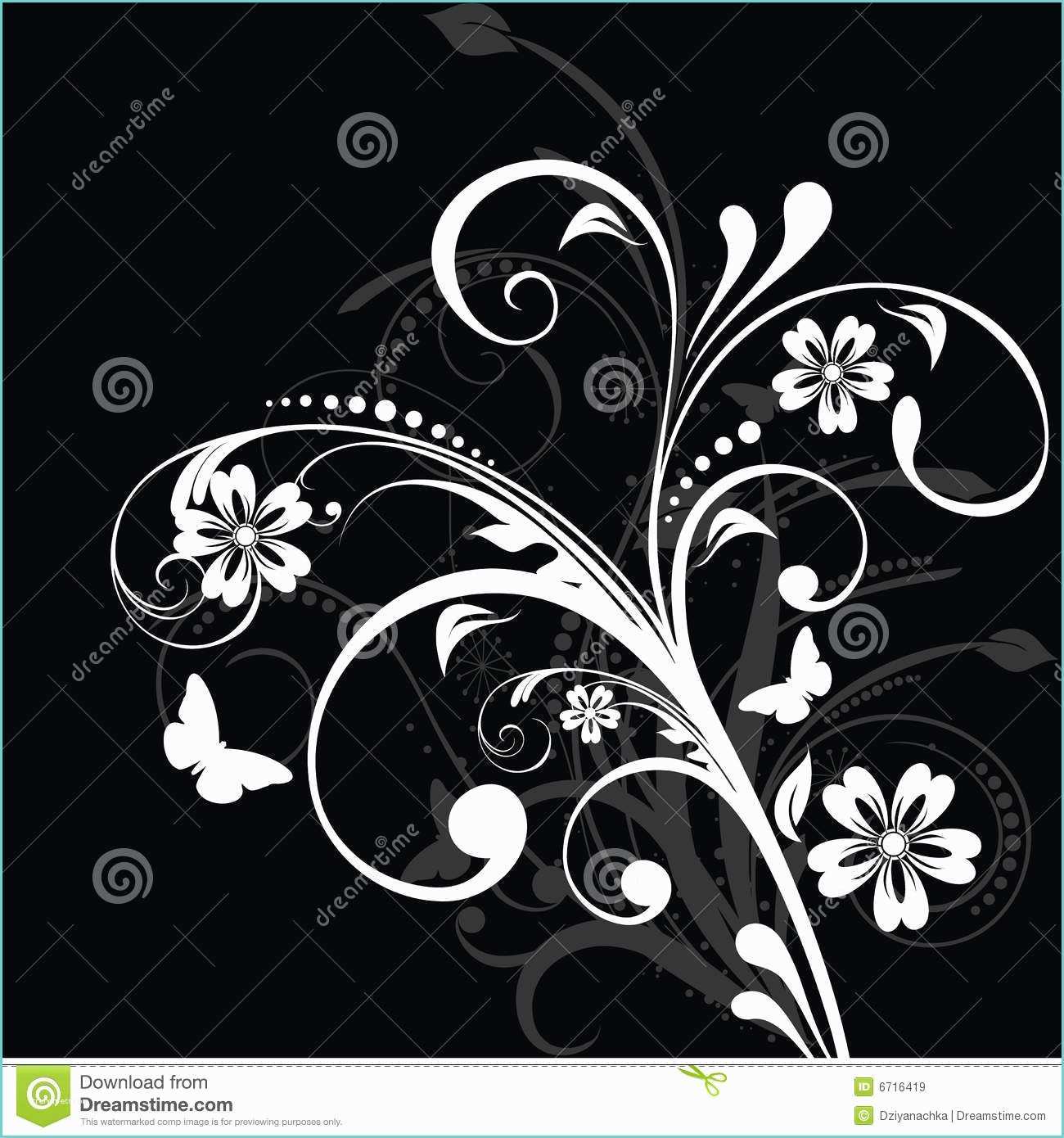 Fond Noir Et Blanc Fond Floral Noir Et Blanc Illustration De Vecteur