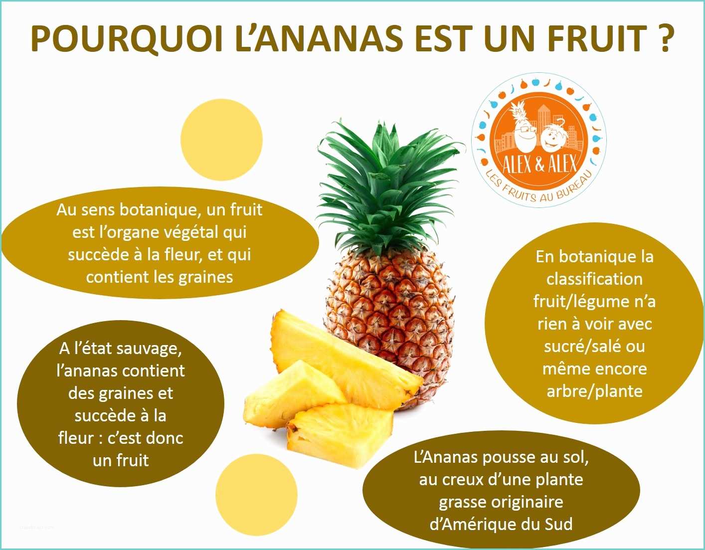 Fruit Ou Lgume En D L Ananas Fruit Ou Légume