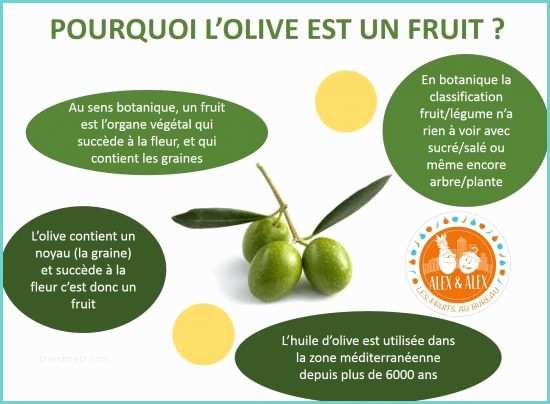 Fruit Ou Lgume En D L Olive Fruit Ou Légume Dossier Rédigé Par Camille