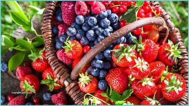Fruit Ou Lgume En D Les Fruits Et Légumes De Saison Août L Express Styles