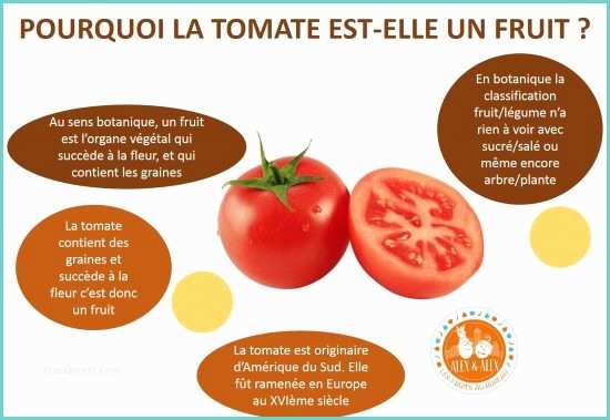 Fruit Ou Lgume En D tomate Fruit Ou Légume