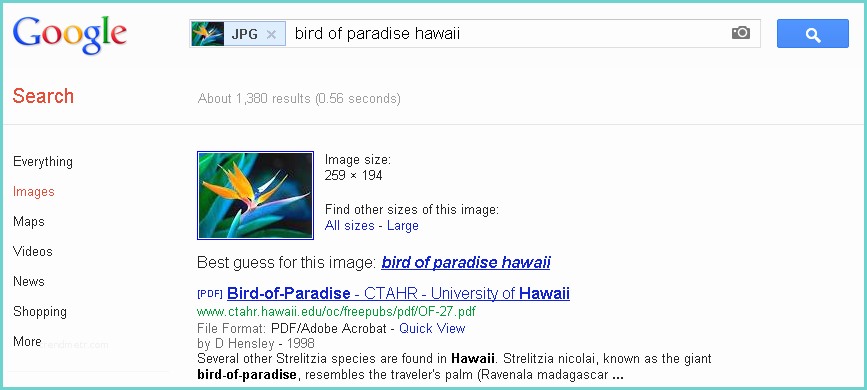 Google Recherche D39images Google Recherche Par Image Weblife