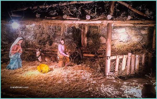 Grotta Presepe Fai Da Te Lamezia Scout Realizzano Grotta Della Natività A Chiesa