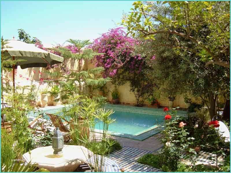 Hotel Essaouira Avec Piscine Riad Piscine Maroc