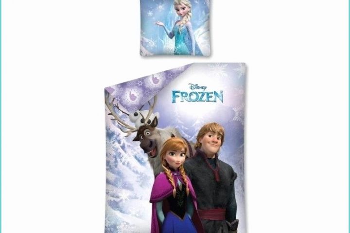 Housse De Couette La Reine Des Neige Housse De Couette La Reine Des Neiges Anna Elsa Pas Cher