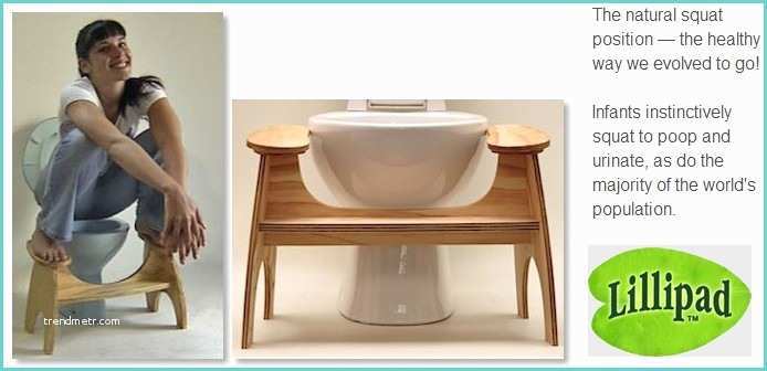 How to Convert Western toilet to Indian toilet Center for Traditional Education why Indian toilets are Best