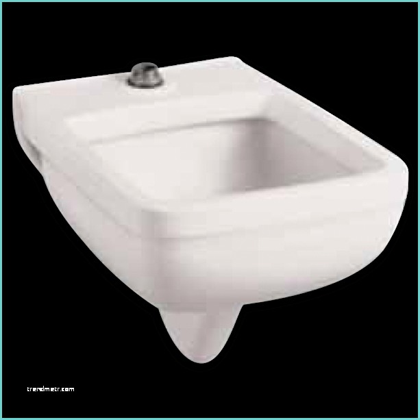 How to Convert Western toilet to Indian toilet Clinic Wall Mounted Service Sink American Standard