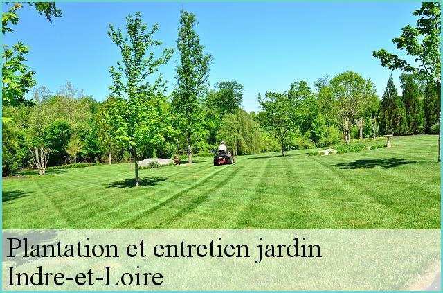 Ide Dco Cabane De Jardin Ide Plantation Jardin Latest Fabulous Dco Jardin Extrieur