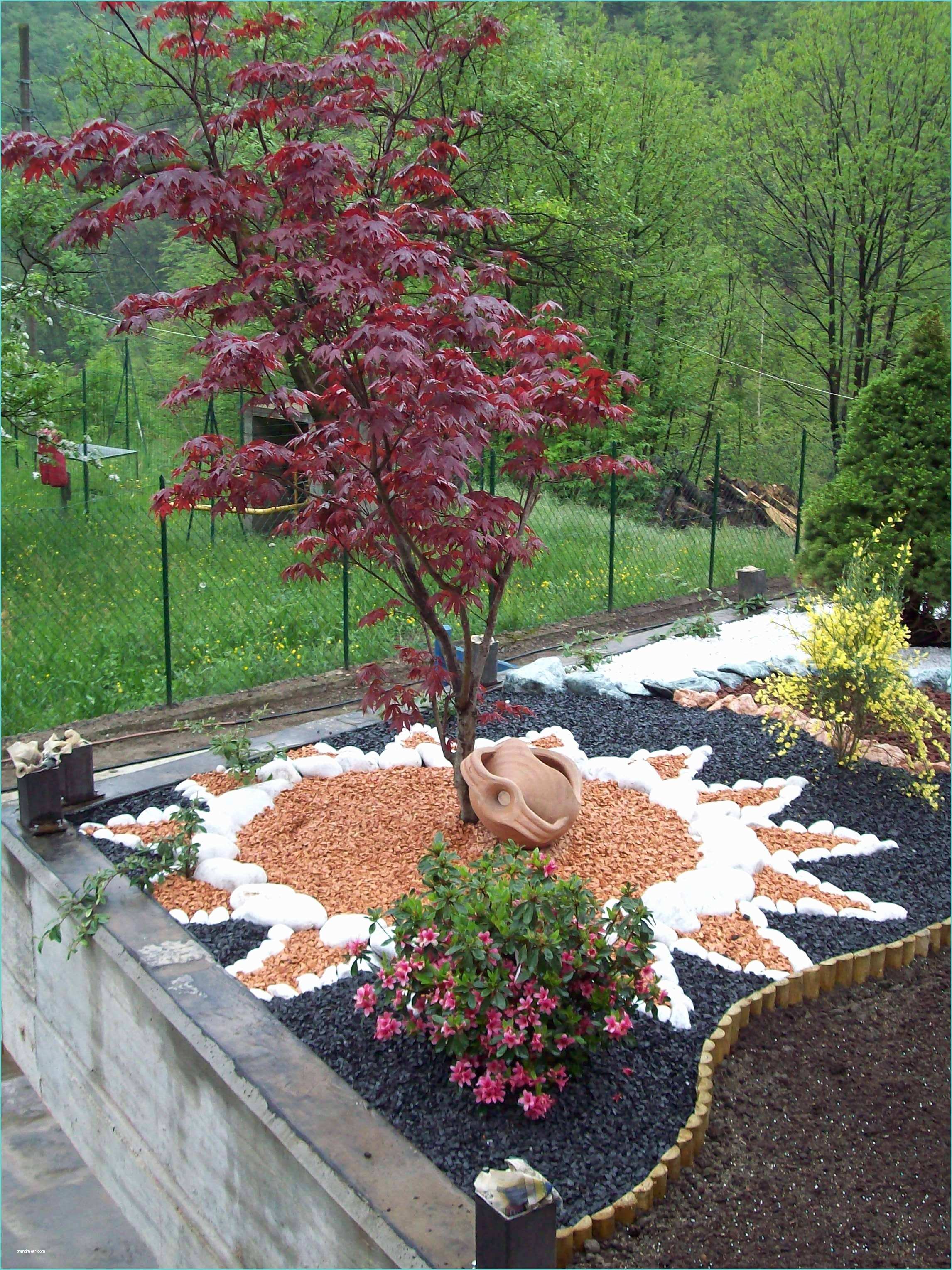Idee Aiuole Giardino Con Sassi Pietre Da Giardino Per Aiuole Aiuole E Giardini Decorare
