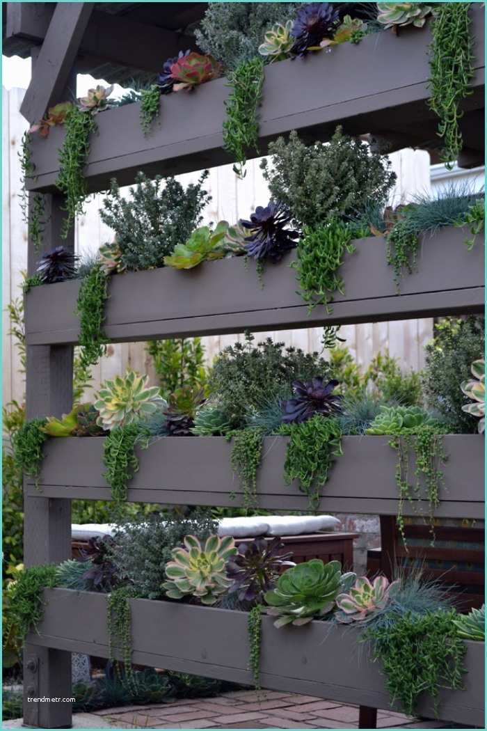 Idee Brise Vue Recup Diy Sichtschutz Für Terrassen Aus Pflanzen 25 Inspirationen