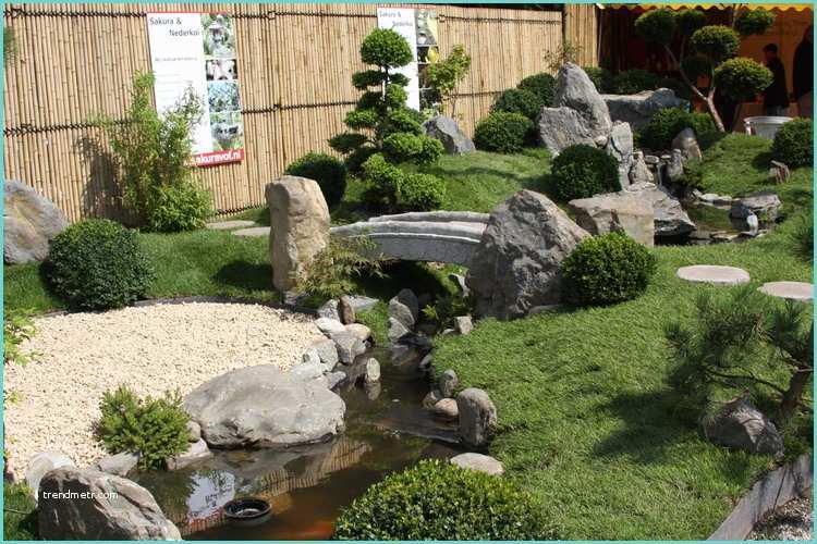 Idee Deco Jardin Japonais Création D’un Jardin Japonais Mode D’emploi