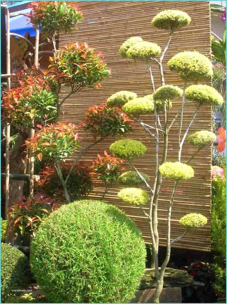 Idee Deco Jardin Japonais Déco Jardin Zen En 100 Idées Inspirantes