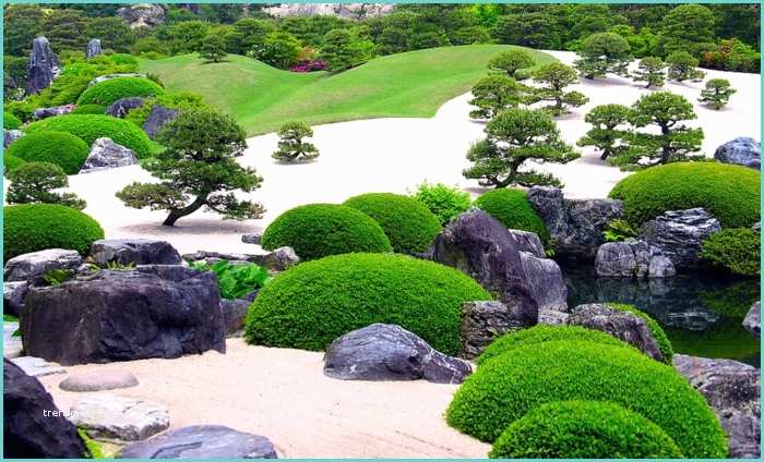 Idee Deco Jardin Japonais Le Jardin Zen Japonais En 50 Images
