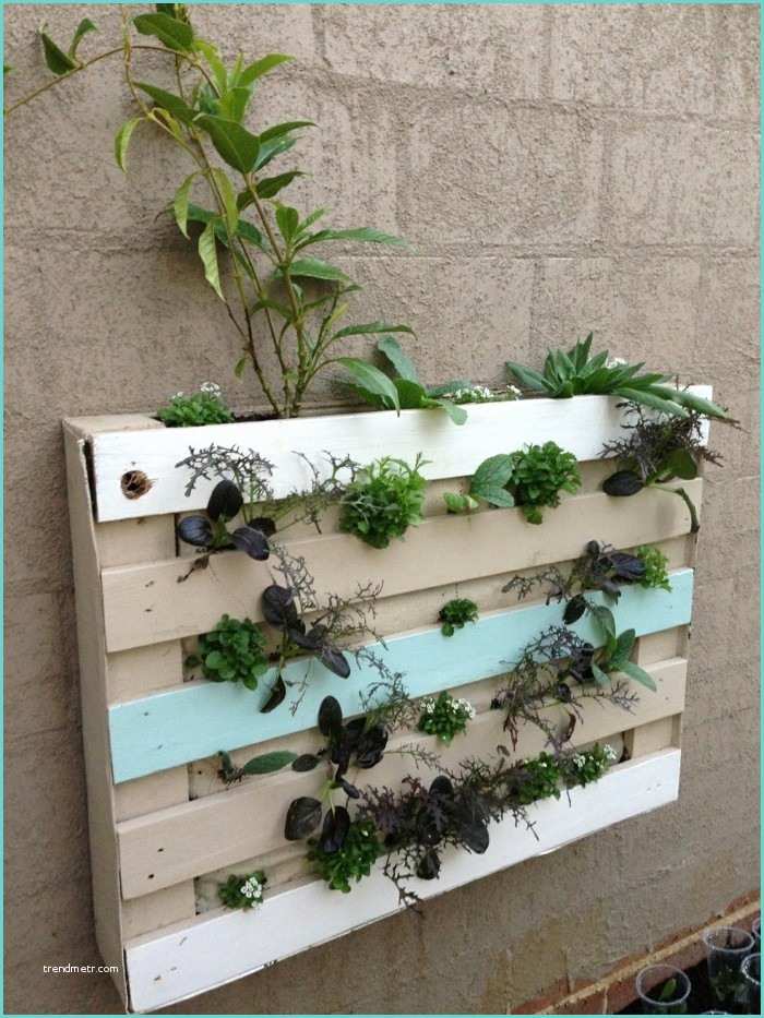 Idee Deco Palette Jardin Le Mur Végétal En Palette Idées originales Pour Un