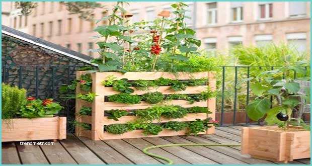 Idee Deco Palette Jardin Vite On Fait son Mini Jardin Sur Palette Bois