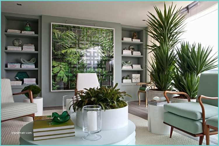Idee Deco Plante Salon 20 Deko Ideen Mit Blumen Und Zimmerpflanzen Für Zuhause