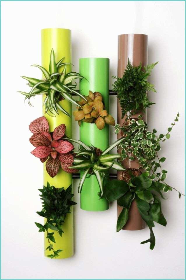 Idee Deco Plante Salon Deco Florale Murale