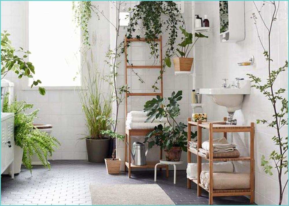Idee Deco Plante Salon Décoration Salle De Bain à L’aide D’utiles Et Belles