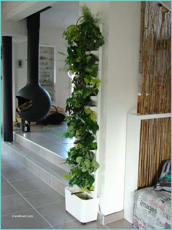 Idee Deco Plante Salon Mur Végétal Intérieur Flowall Flowall totem Blanc Avec
