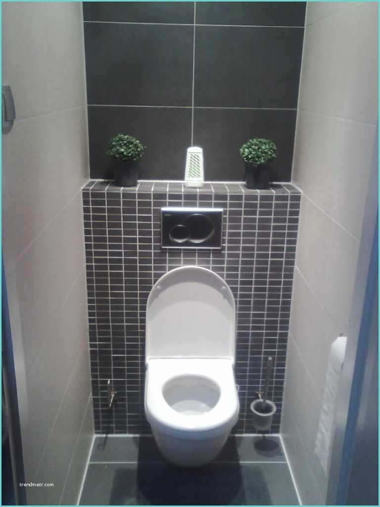 Idee Decoration toilette Wc Deco Wc Gris Et Blanc Indogate Idee Galerie Avec Deco