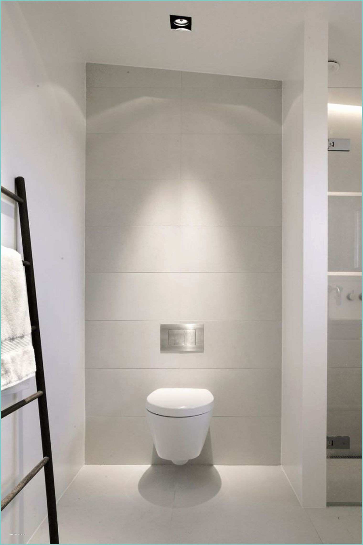 Idee Decoration toilette Wc Déco Wc sol Gris