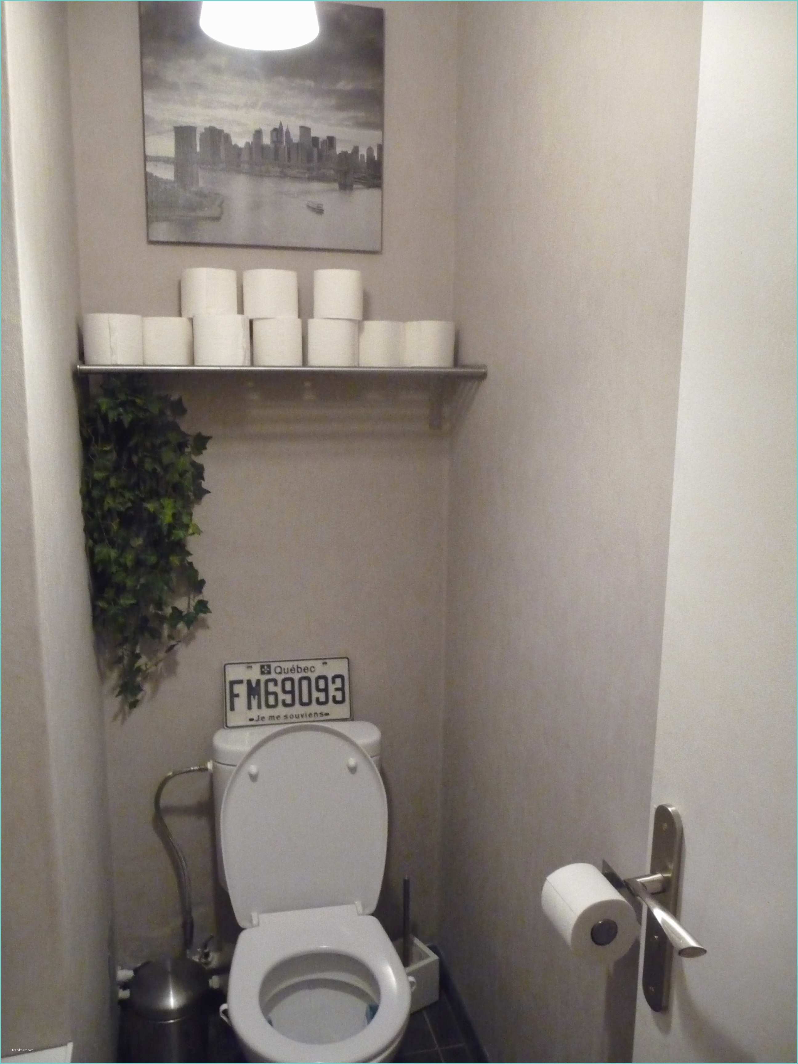 Idee Peinture Wc Deco toilette Gris Galerie Avec Deco Wc original Avec and