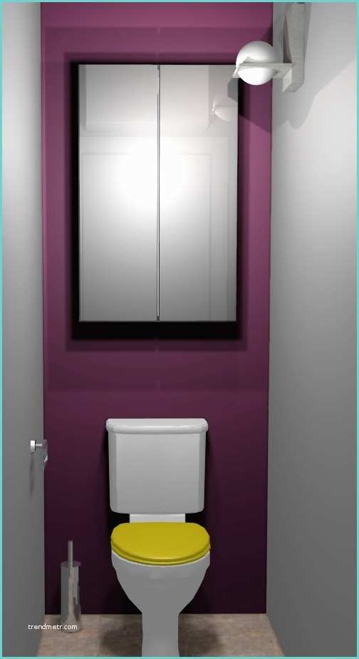 Idee Peinture Wc Décoration Interieur toilettes Exemples D Aménagements