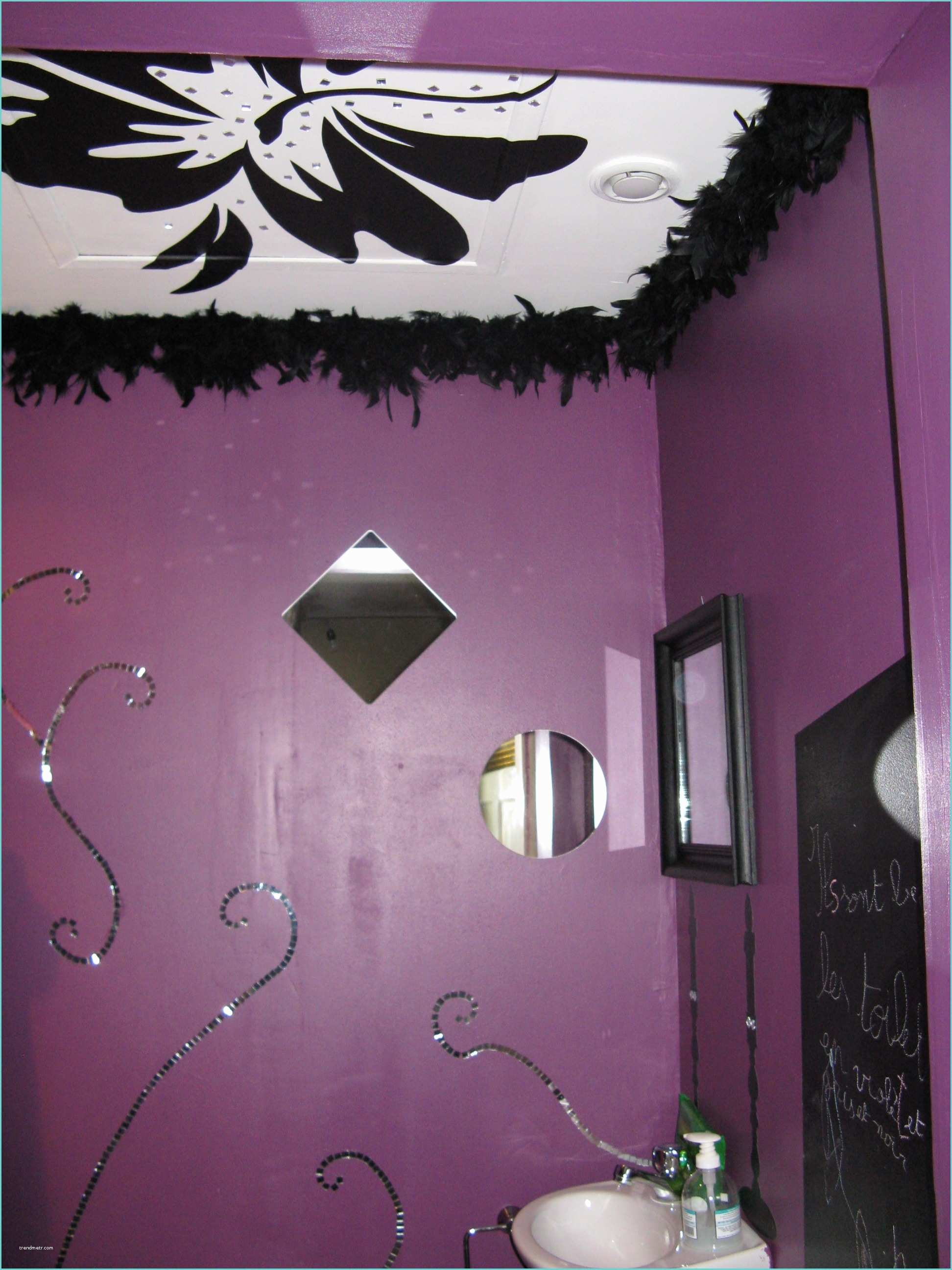 Idee Peinture Wc Mes toilettes Photo 1 5 Le Stickers Au Plafond Est