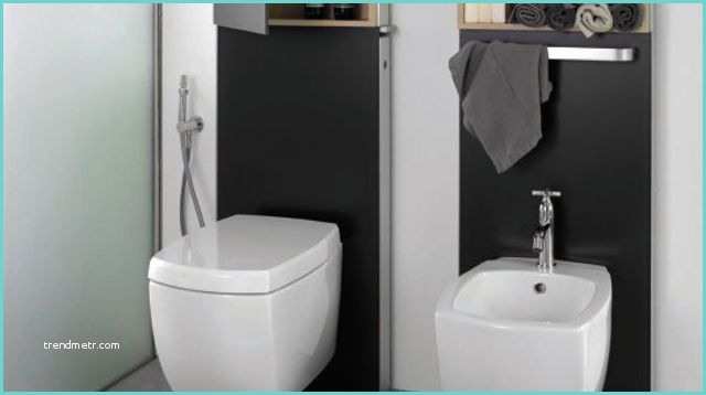 Idee Peinture Wc toilettes Design