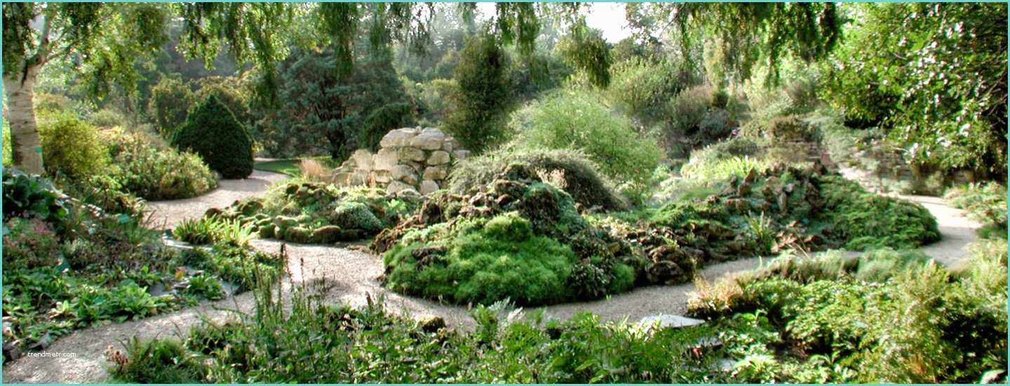 Image De Jardin Jardin Alpin