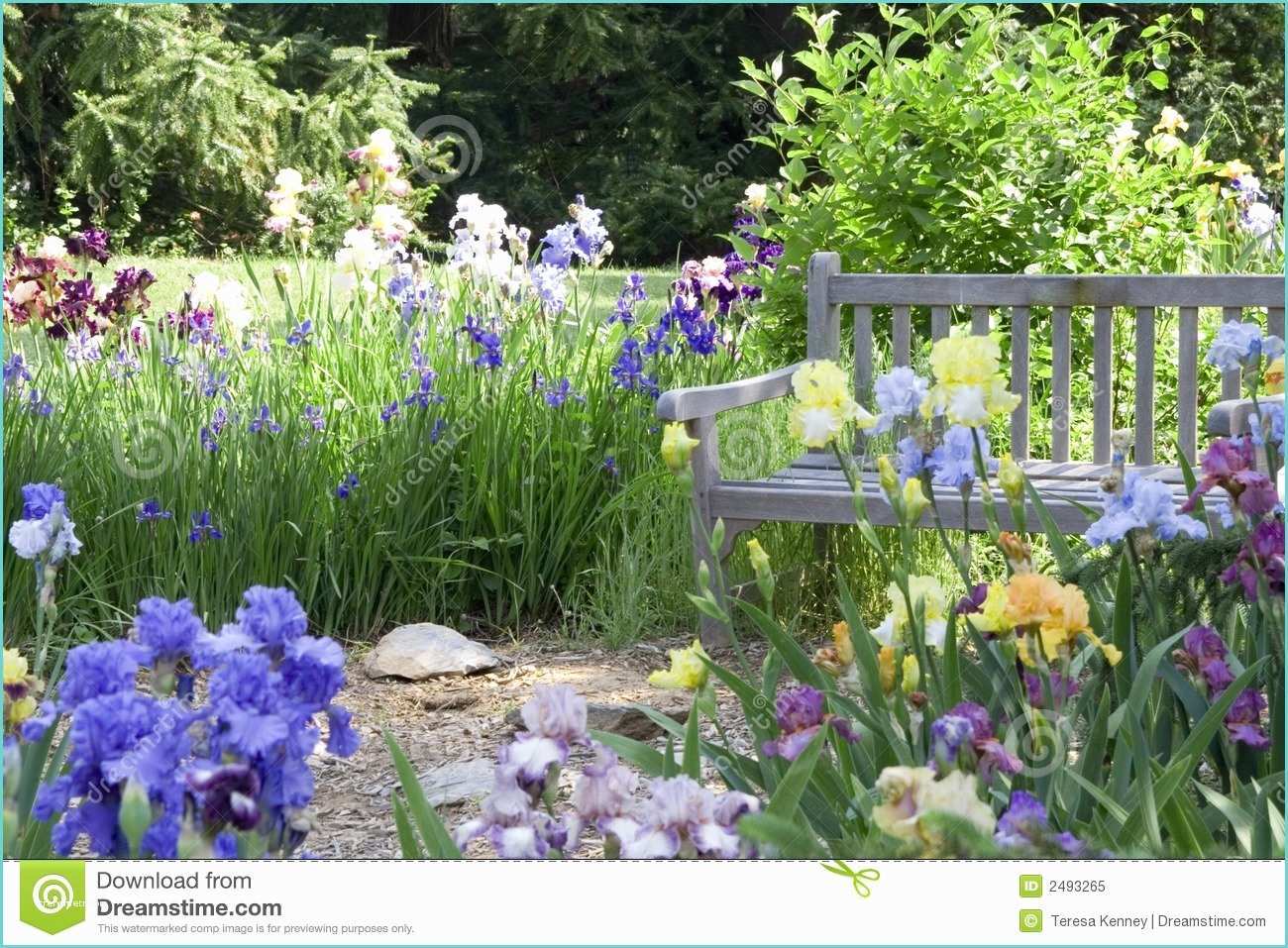 Image De Jardin Jardin De Fleur Libre De Droits Image