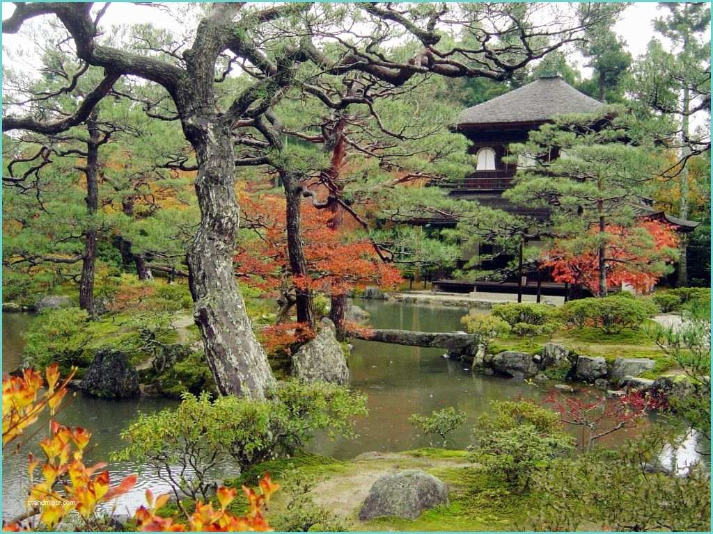 Image De Jardin Jardin Japonais