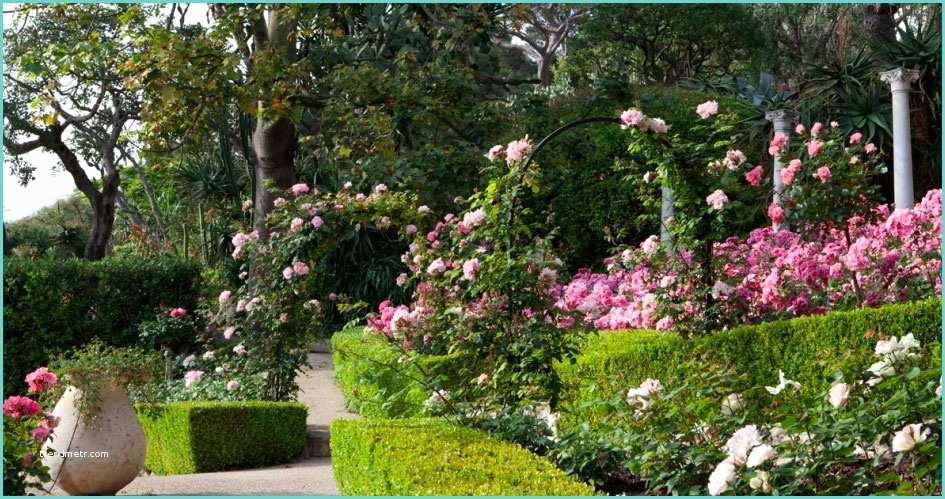 Image De Jardin Le Jardin De Fleurs Les Plus Beaux Jardins De France