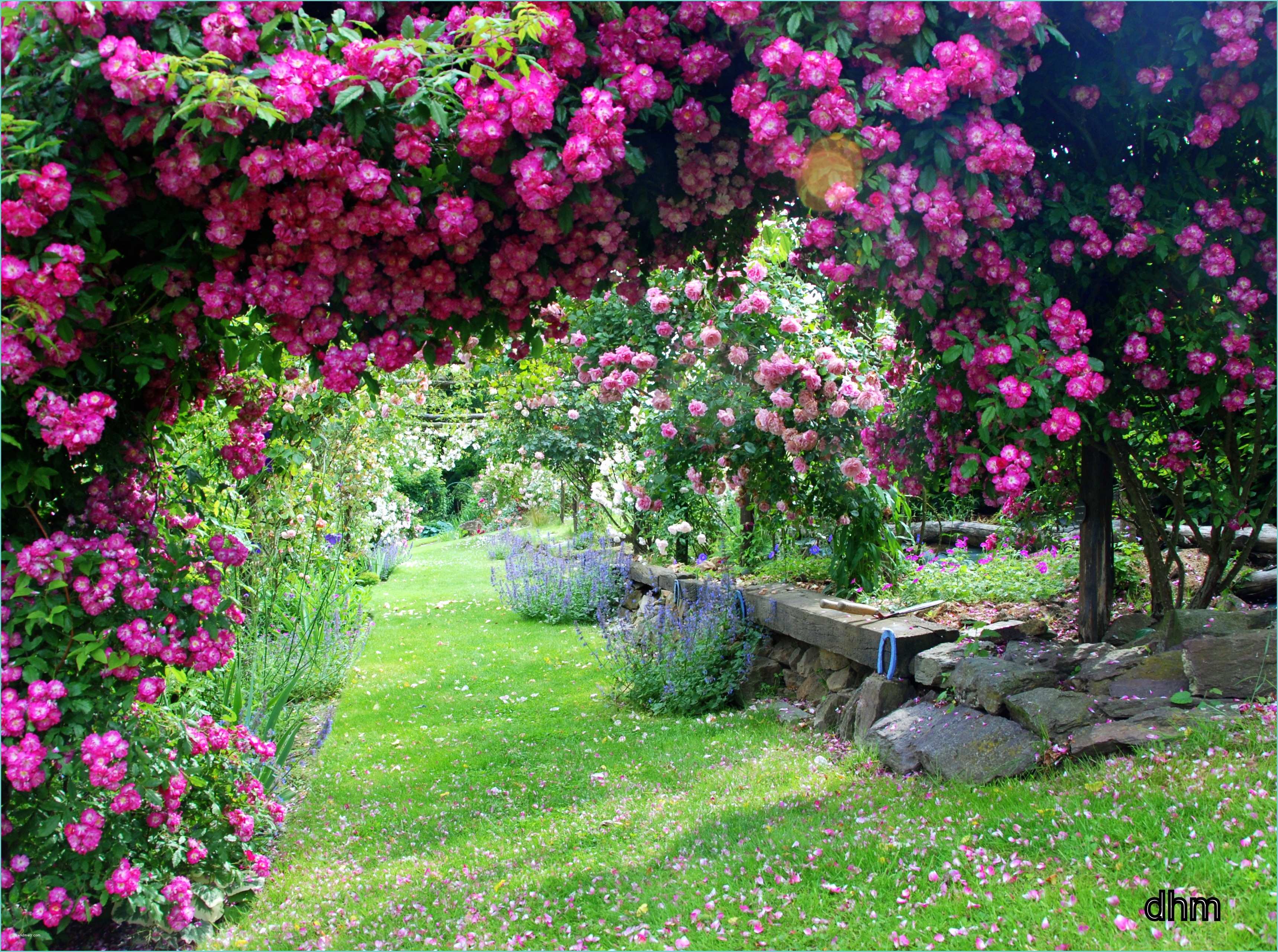 Image De Jardin Un Jardin Extraordinaire ArrÊt Sur Image De Ladymiche
