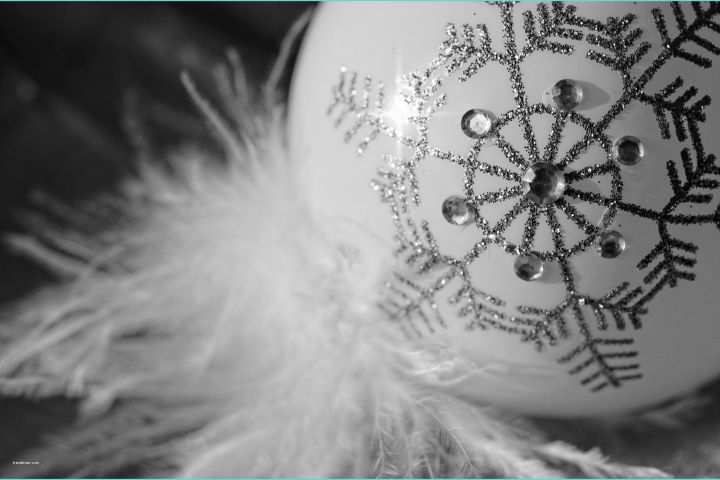 Image De Noel Noir Et Blanc Mon Truc En Plume…