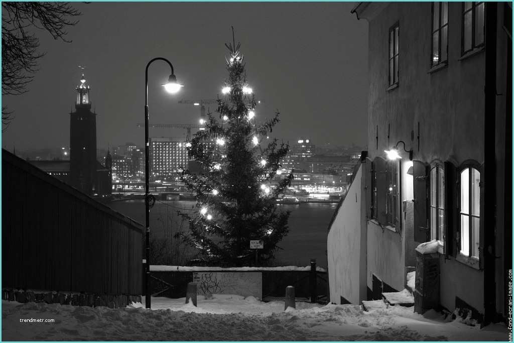 Image De Noel Noir Et Blanc Stockholm Noel Sapin Noir Et Blanc Suede Stockholm